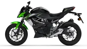 Kawasaki Z 125 (2021 - 24)  (6)