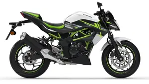 Kawasaki Z 125 (2021 - 24)  (8)
