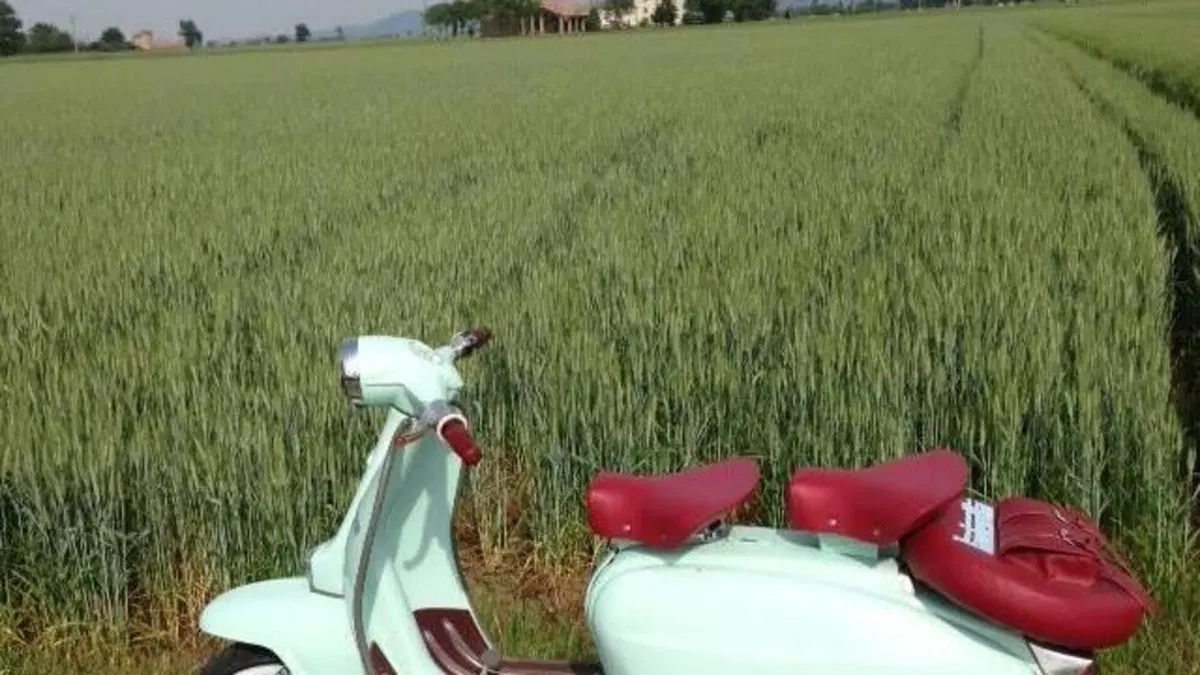 Lambretta   (3)