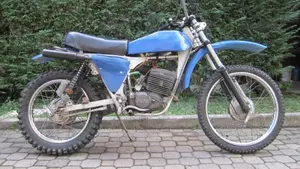 Betamotor   (2)