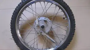 Betamotor   (3)
