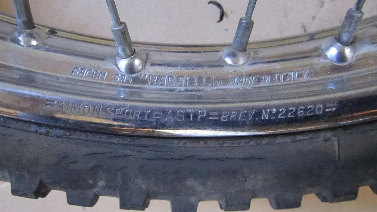 Betamotor   (5)