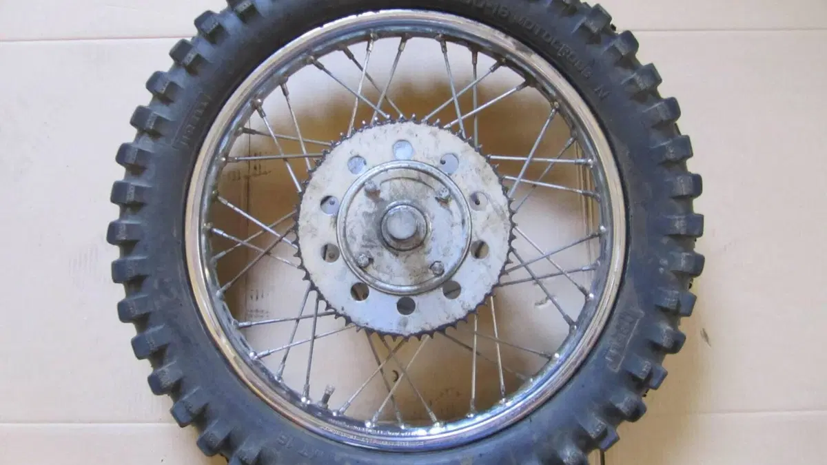 Betamotor   (6)