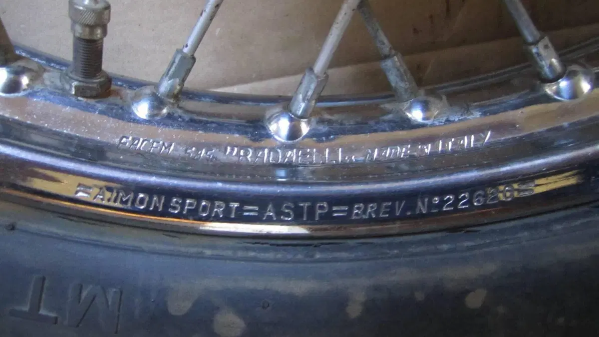 Betamotor   (7)