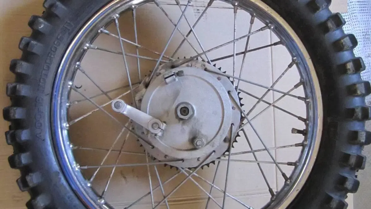 Betamotor   (8)