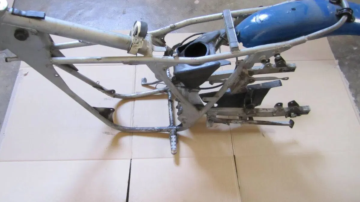 Betamotor   (9)