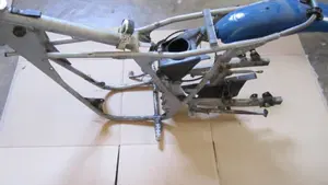 Betamotor   (9)