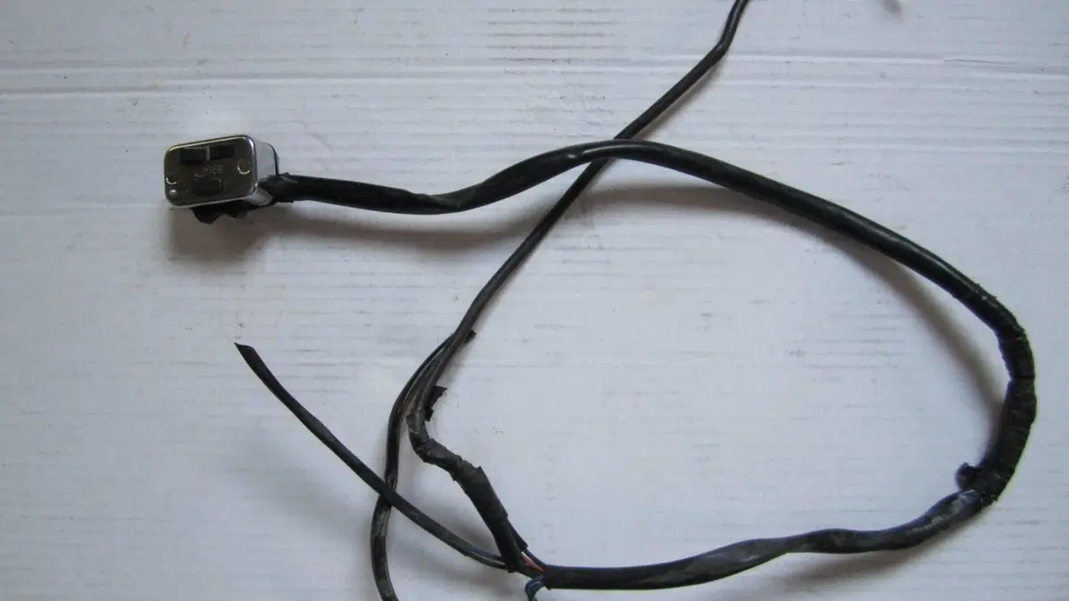 Betamotor   (10)
