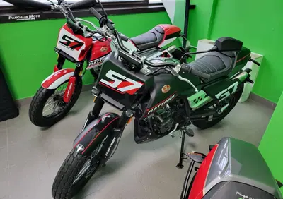 FB Mondial Flat Track 125 (2020 - 24) - Annuncio 8378940
