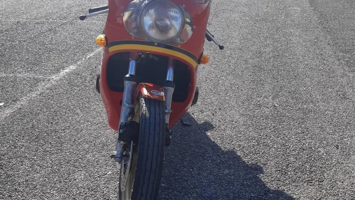 Suzuki   (3)