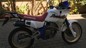 Honda   (10)