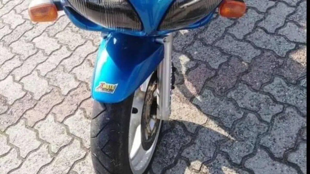 Suzuki SV 650 S (1999 - 02)  (7)