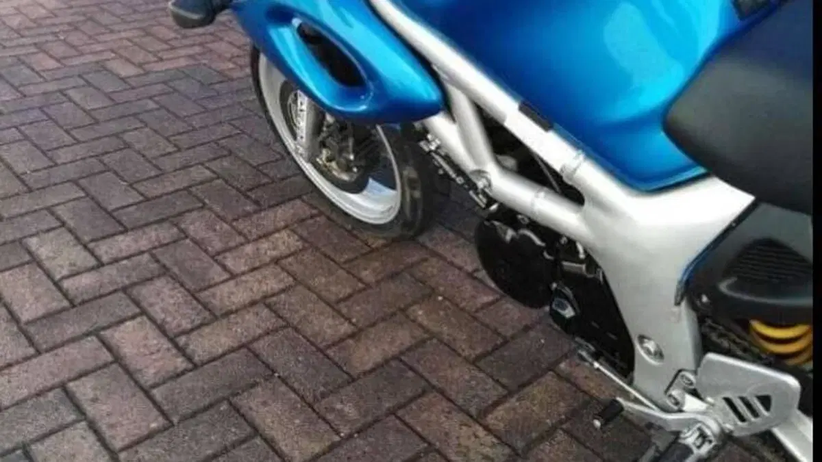 Suzuki SV 650 S (1999 - 02)  (5)