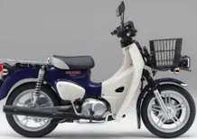 Honda Super Cub 110 Pro. Il trasporto è servito