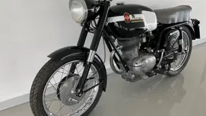 Gilera   (15)