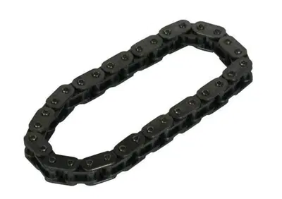 Catena distribuzione interna Per Dyna dal 2006 al  - Annuncio 8828893