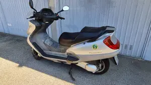 Honda Foresight (1998 - 2004)  (3)