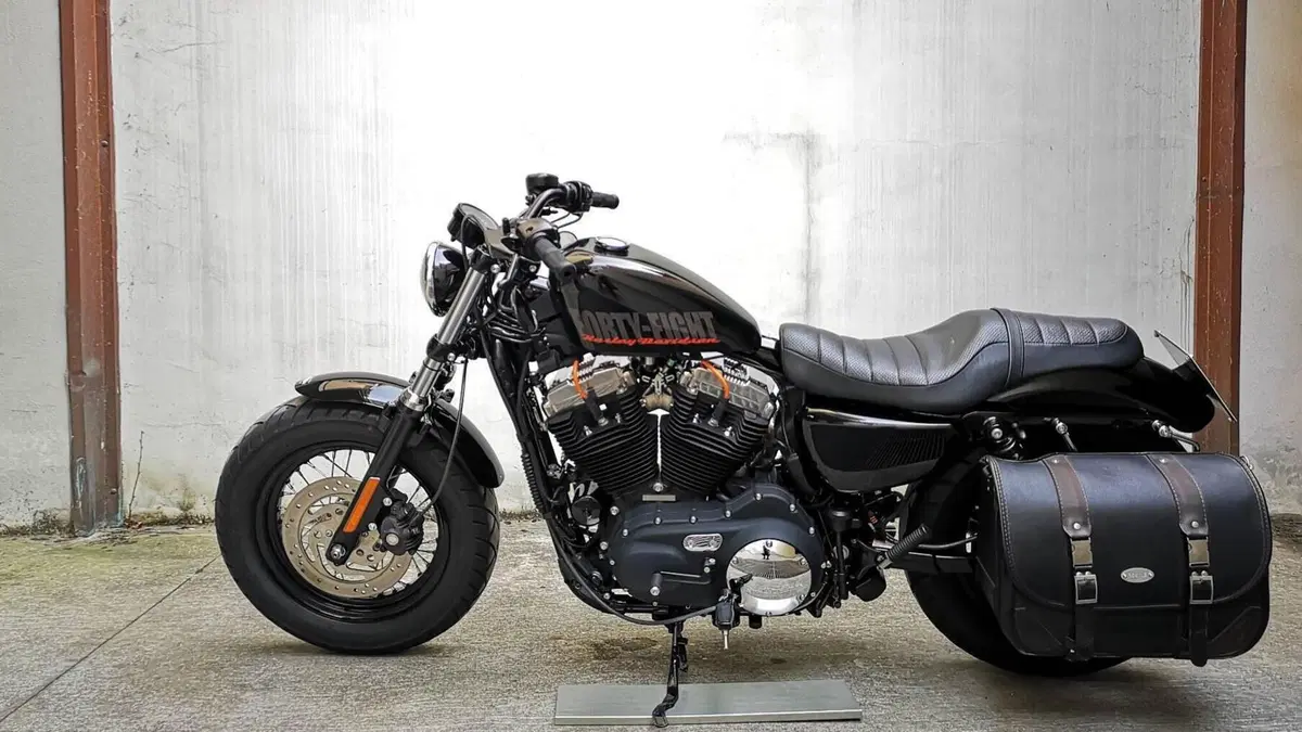 Harley-Davidson 1200 Forty-Eight (2010 - 15)  (2)