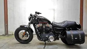 Harley-Davidson 1200 Forty-Eight (2010 - 15)  (2)