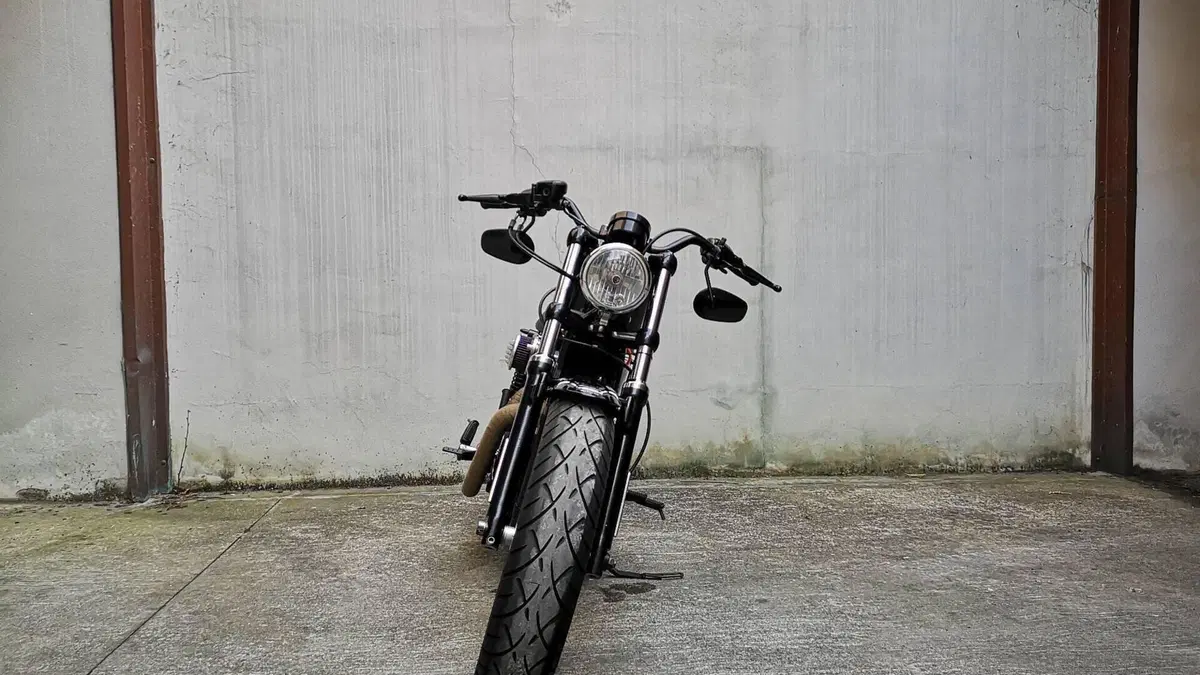 Harley-Davidson 1200 Forty-Eight (2010 - 15)  (3)