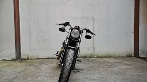 Harley-Davidson 1200 Forty-Eight (2010 - 15)  (3)