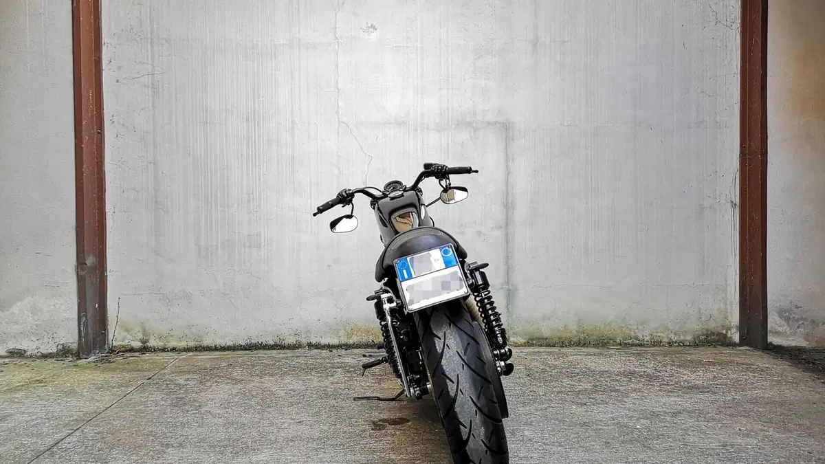 Harley-Davidson 1200 Forty-Eight (2010 - 15)  (4)