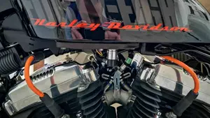 Harley-Davidson 1200 Forty-Eight (2010 - 15)  (10)