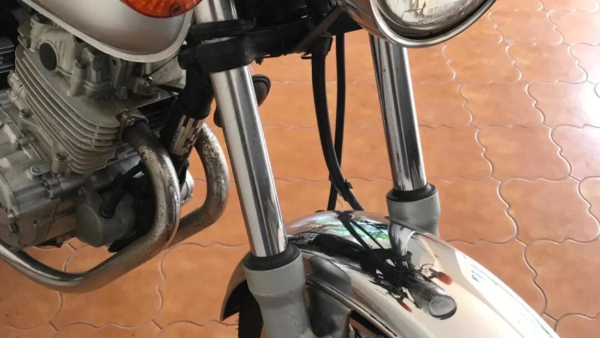 Suzuki TU 250 XX Super Classic (1996 - 00)  (10)