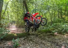 Beta Enduro 300 2 tempi contro 350 4 tempi: quale scelgo? TEST 2023 [VIDEO]
