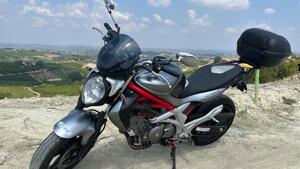 Suzuki SV 650 (2006 - 11) 