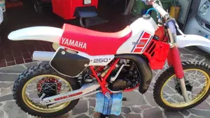 Yamaha   (7)