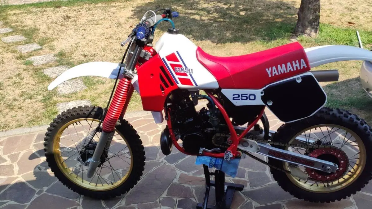 Yamaha   (8)