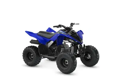  Altre moto o tipologie Quad - Annuncio 9041658