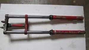 Cimatti   (2)