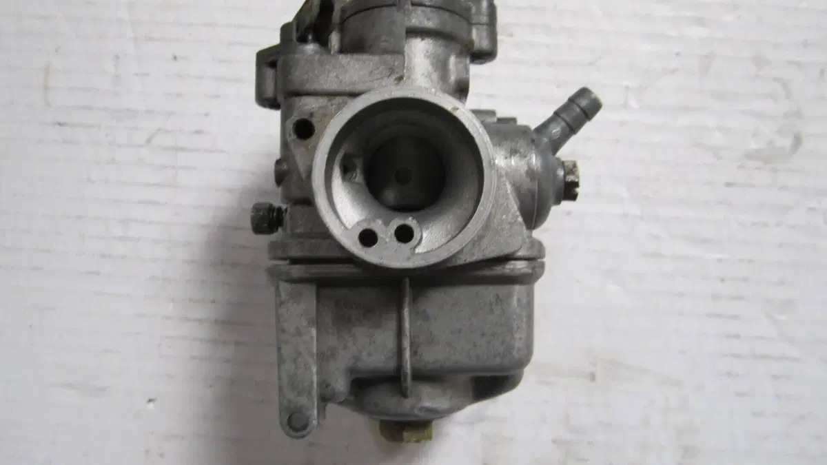 Cimatti   (9)