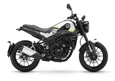 Benelli Leoncino 250 (2021 - 25) - Annuncio 9066818