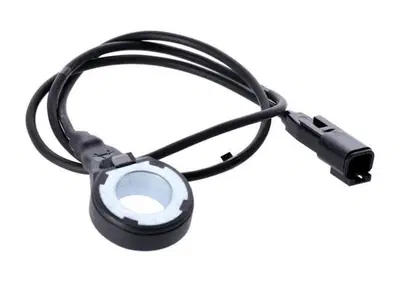 Sensore freno ABS anteriore per Sportster S 1250 d  - Annuncio 9072049