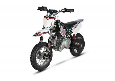  Altre moto o tipologie Minimoto - Annuncio 9072164
