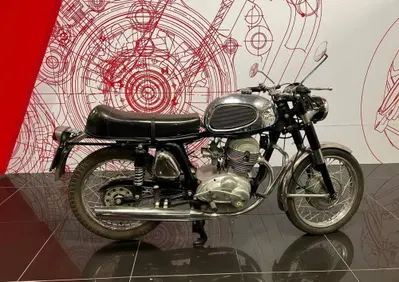 MV Agusta 250 - Annuncio 6084776