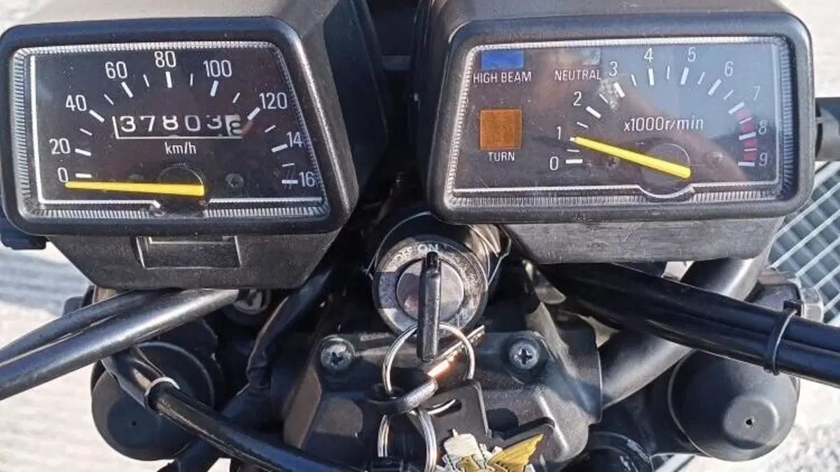 Yamaha   (5)