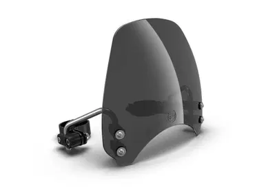 cupolino basso con staffe Royal Enfield - Annuncio 9087551