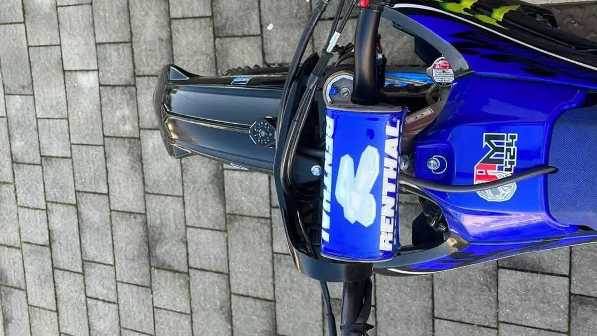 Yamaha YZ 250 F Monster Energy (2022)  (7)