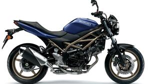 Suzuki SV650 (2021 - 24) 