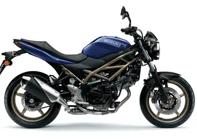 Suzuki SV650 (2021 - 24) - Annuncio 6316192