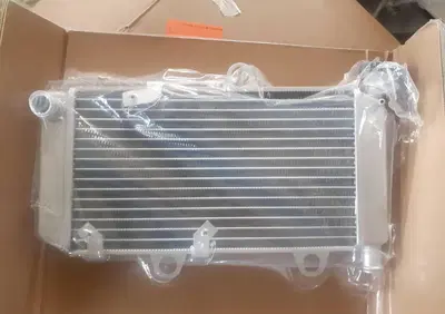 Radiatore Yamaha - Annuncio 9111294