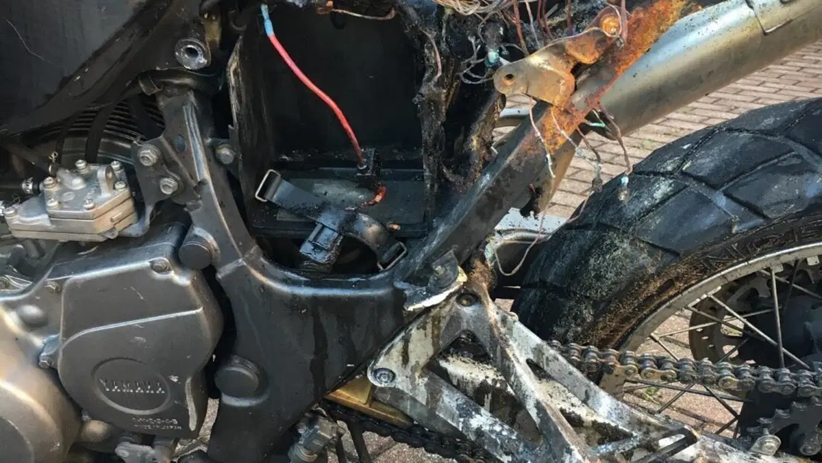 Yamaha   (5)