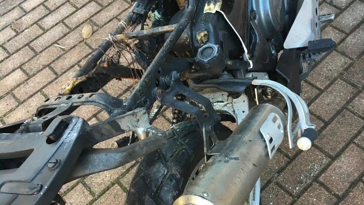 Yamaha   (7)
