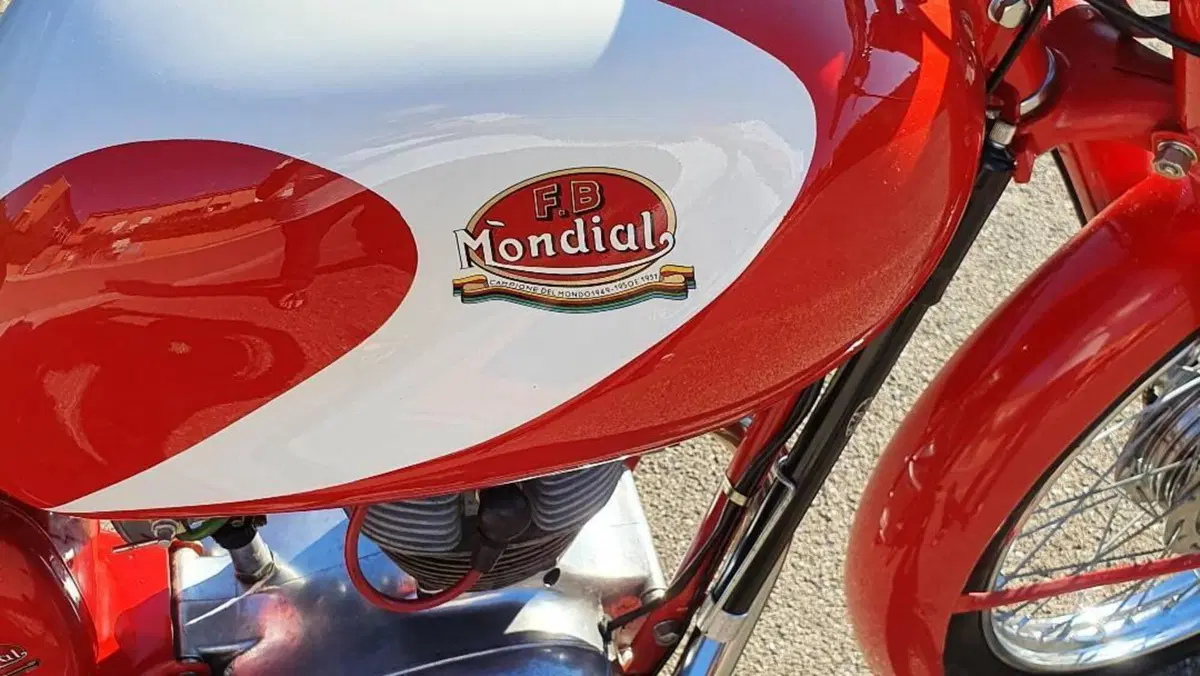 Mondial   (6)