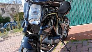 Kawasaki ER-6N (2005 - 08) 