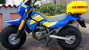 Fantic Motor  
